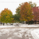 Fall leaves with snow