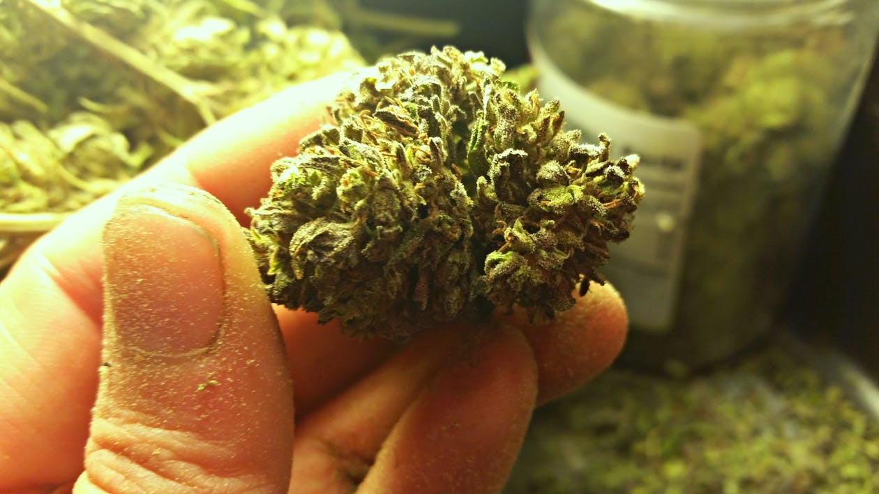 St. Paul Approves Zoning Amendments for Cannabis-Related Businesses