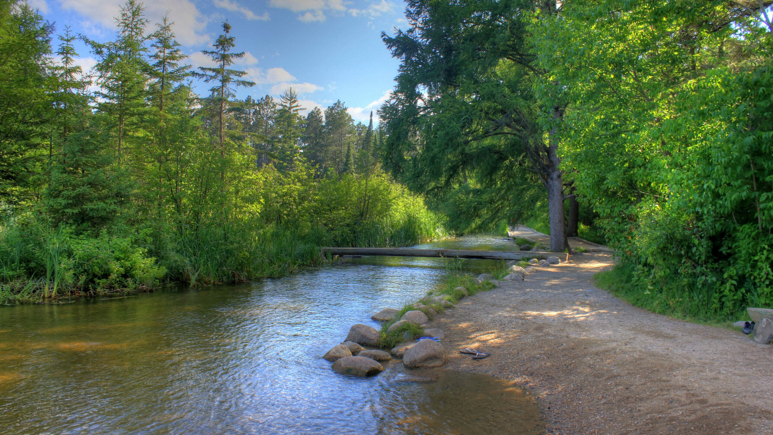 Visit a State Park for Free with St. Paul Public Library! 