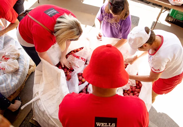 Neighborhood House volunteers sort produce at a produce distribution event