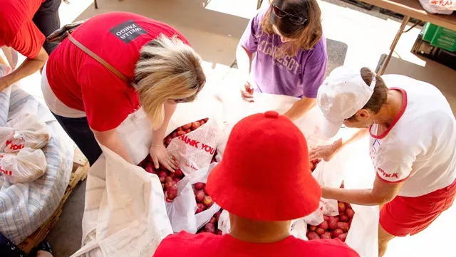 Neighborhood House volunteers sort produce at a produce distribution event
