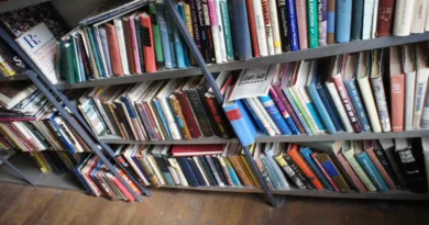 Brick And Mortar Bookshop To Open In Honor Of St. Paul Librarian’s Unique Legacy