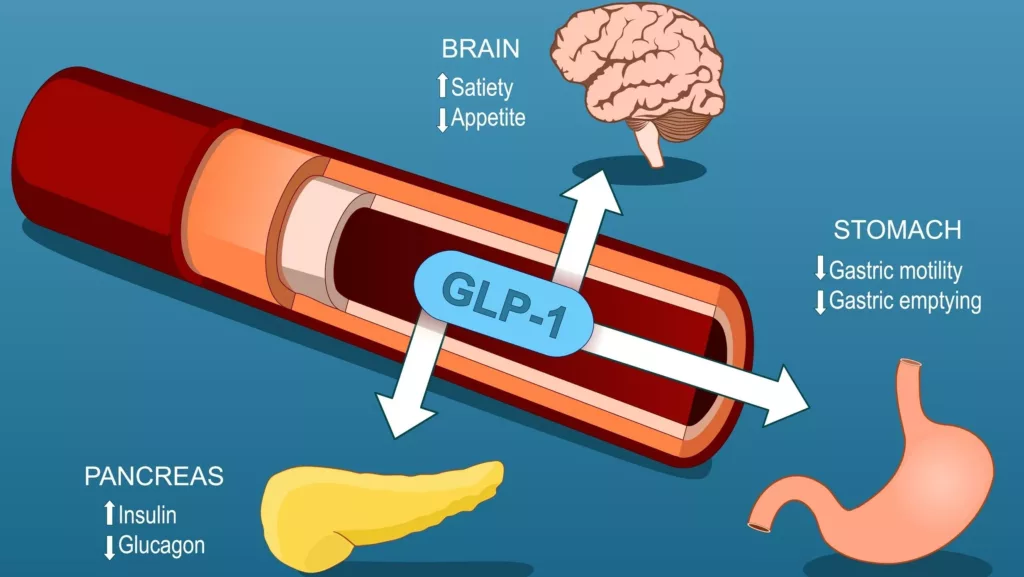 A Deeper Dive Into Glp-1's - A New Healthcare Tool For Weight Loss