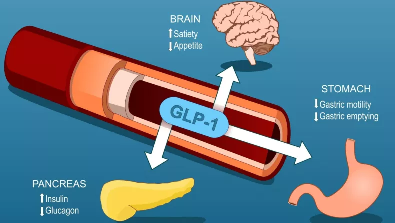 A Deeper Dive Into Glp-1’s - glucagon-like-peptide-1 - A New Healthcare Tool For Weight Loss