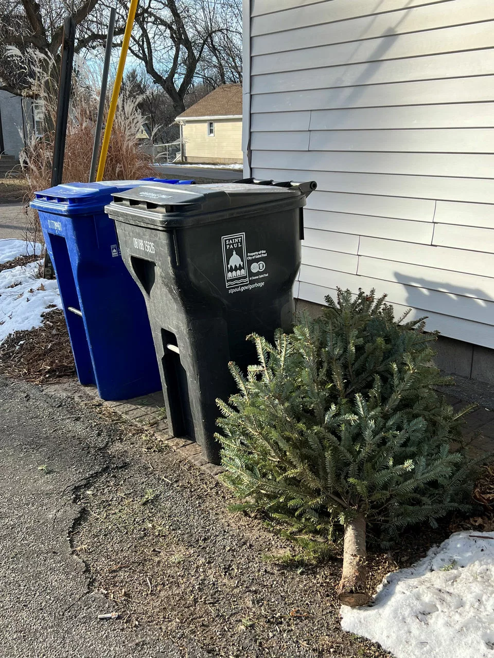 From Trees to Wrapping Paper, Find Holiday Waste Collection and Recycling Options