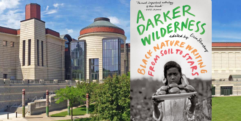 Booked on Thursdays: A Darker Wilderness