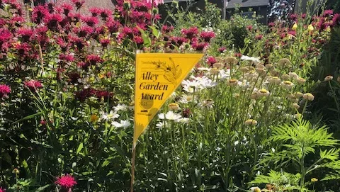 Macalester-Groveland Community Council June 2026 