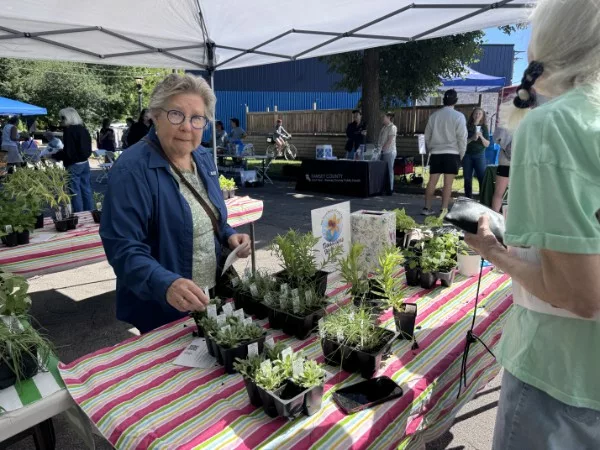 West 7th Neighbors Open Gardens, Celebrate Community At 16th Annual Garden Tour