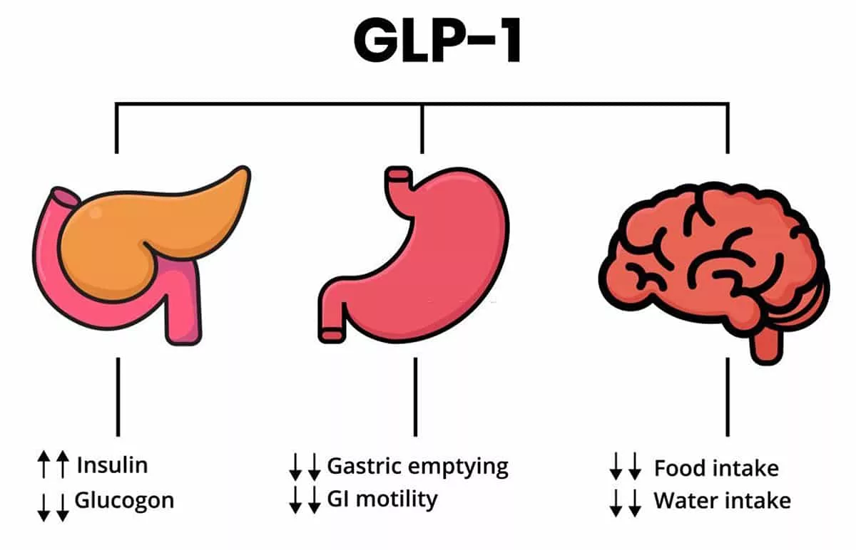 GLP-1s. What should you know? 